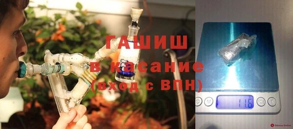 мдпв Ладушкин