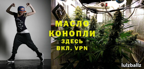 мдпв Ладушкин