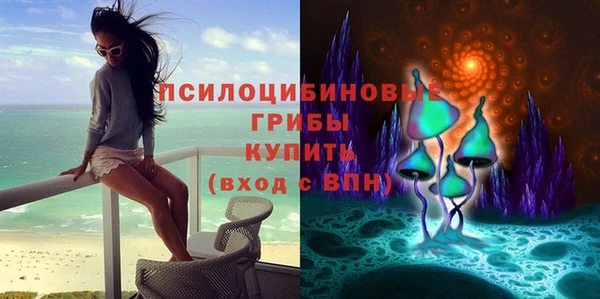 бошки Лагань