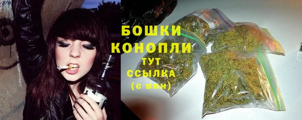 бошки Лагань