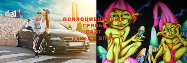 мдпв Ладушкин