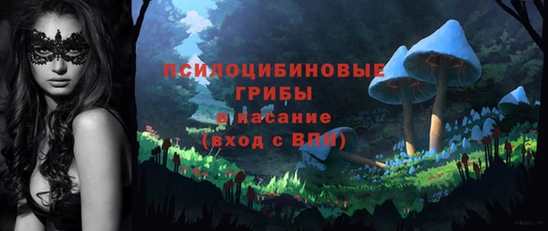 мдпв Ладушкин